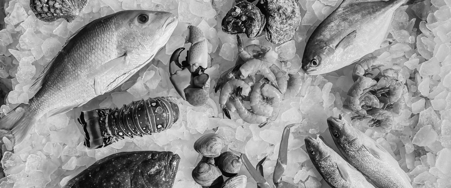 Exploring the Nutrient-Rich World of Fish and Seafood: A Guide to Incorporating Them into Your Healthy Diet